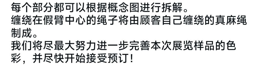 只狼：影逝二度 忍者义肢