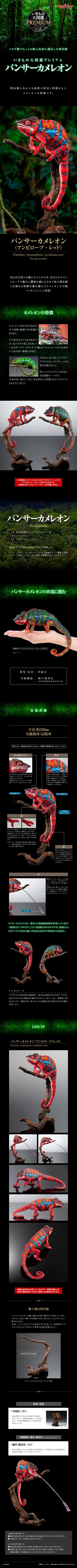 高级生物大图鉴 豹变色龙（安比卢贝·红）