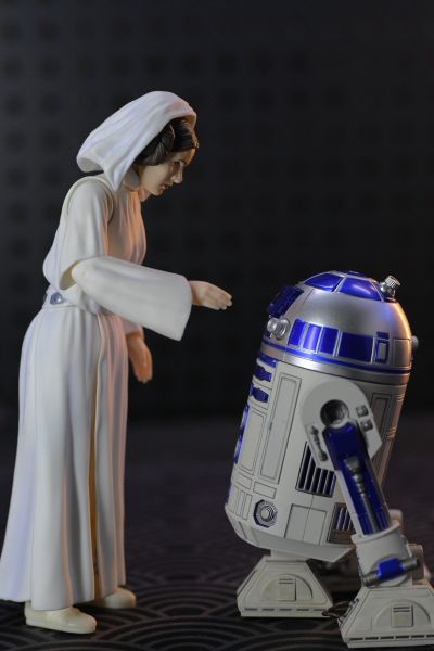 S.H.Figuarts 星球大战IV：新希望 莱娅·奥加纳公主