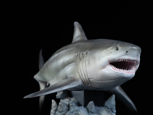 巨齿鲨 鬼颚