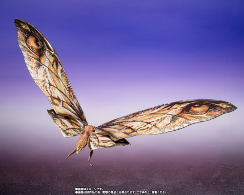 S.H.MonsterArts 迷你金刚与摩斯拉（2024）《哥斯拉大战金刚2：帝国崛起》