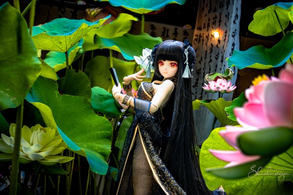 Dollfie Dream DD 白色相簿 森川由绮