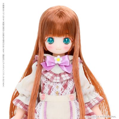 POD057-CTH Colorful Dreamin' /特玛丽～梦幻熊～野草莓版