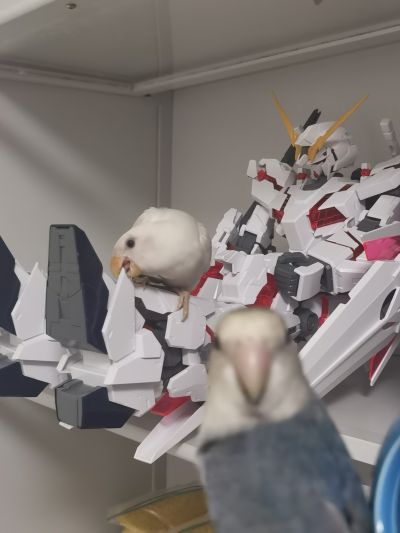 Mega Size 1/48 机动战士高达UC RX-0 独角兽高达 Ver. TWC