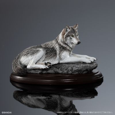 生物大图鉴 陈列模型系列 野生的犬科动物