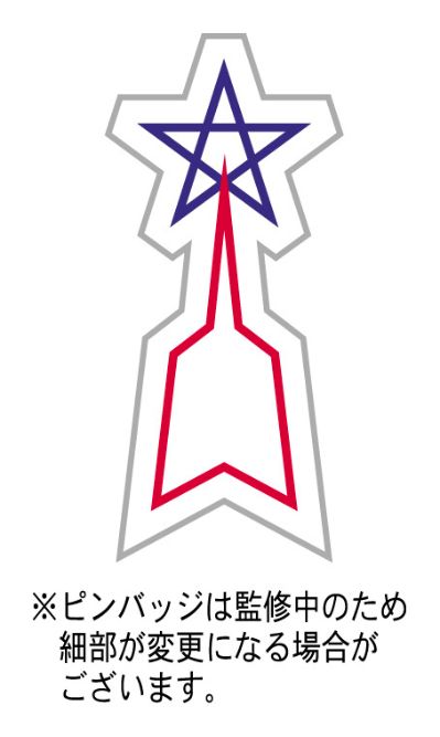 喷气甲壳虫+水电副推器（附带流星勋章）