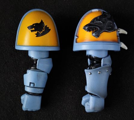 战锤40000 太空野狼 利爪小队 西格瑞石盾