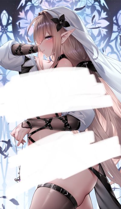 修女精灵 特別版