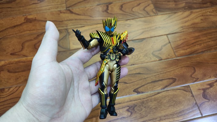 S.H.Figuarts 假面骑士雷杰德