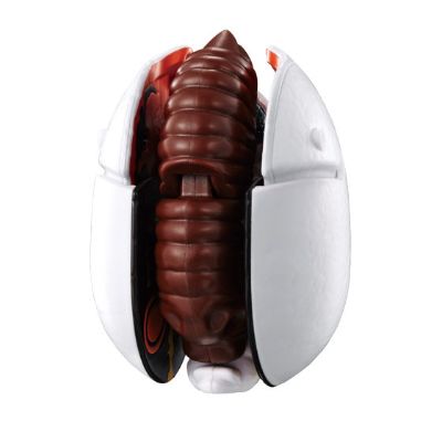 哥斯拉蛋 摩斯拉