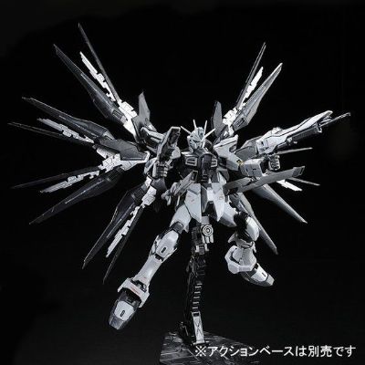 RG  强袭自由高达 装甲未启动样式
