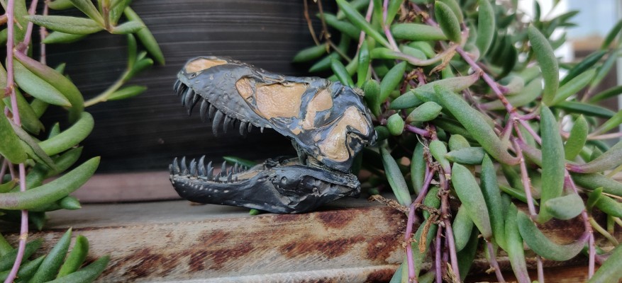 霸王龙（最新复原理念） 第二版