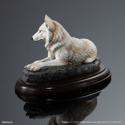 生物大图鉴 陈列模型系列 野生的犬科动物