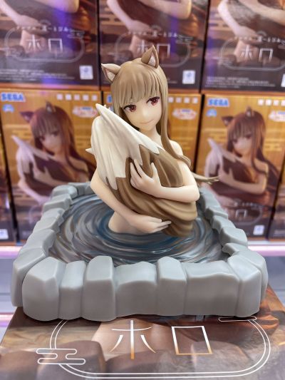 狼与香辛料 merchant meets the wise wolf 温泉乐园（暂译） 赫萝