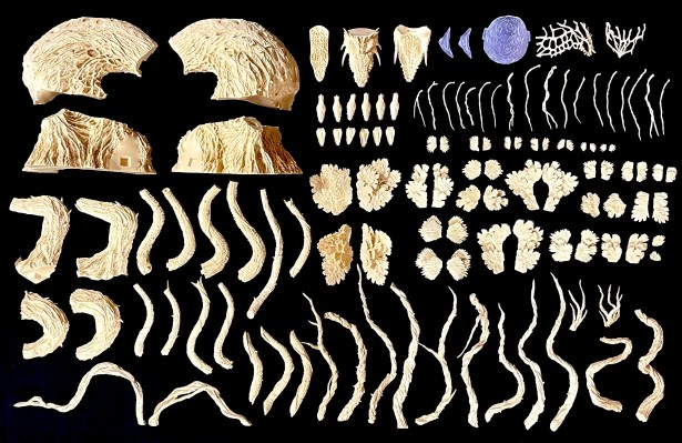 碧奥兰蒂 专业模型套件