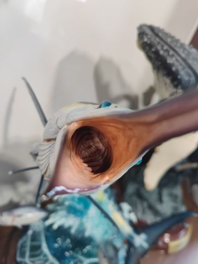 NATURE TALES 蓝枪鱼