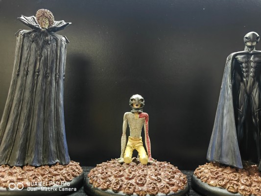 剑风传奇 格里菲斯 The Fallen Hawk