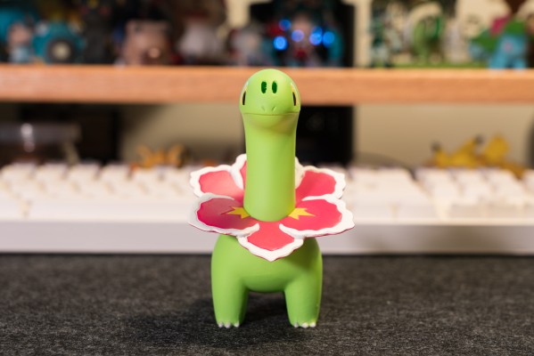 宝可梦比例世界 城都地区 大竺葵