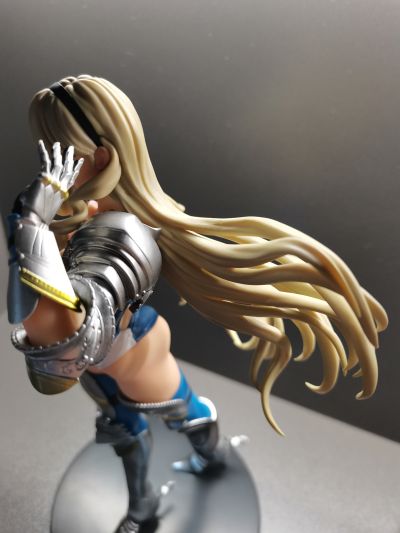 少女骑士物语 内衣 体育授业(泳池编) 流通限定版