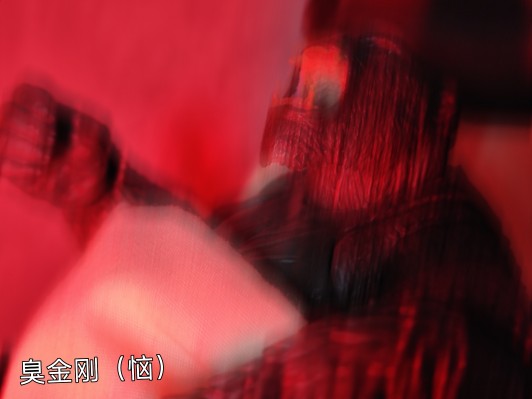 极致超值系列 金刚: 骷髅岛 金刚