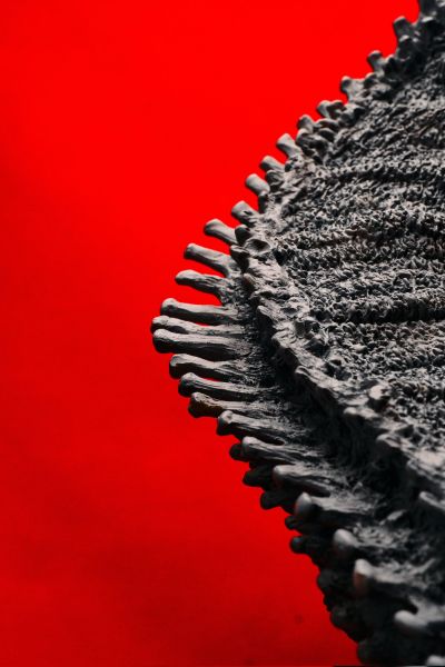 新·哥斯拉 第四形态