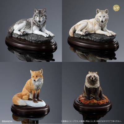 生物大图鉴 陈列模型系列 野生的犬科动物