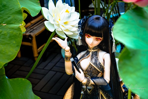 Dollfie Dream DD 白色相簿 森川由绮