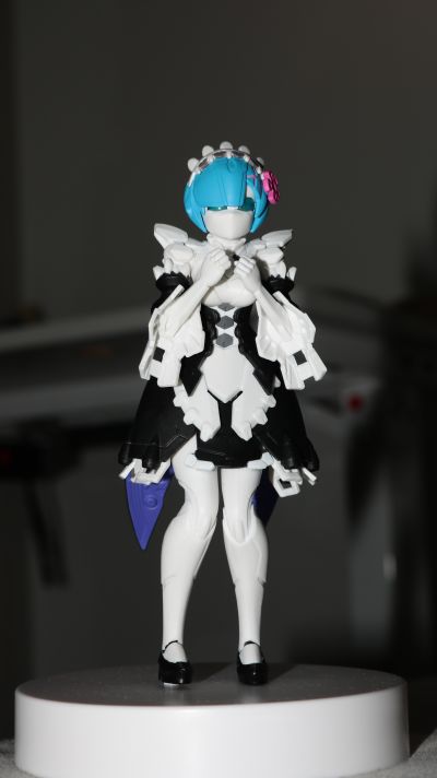 Re：从零开始的异世界生活 蕾姆 A