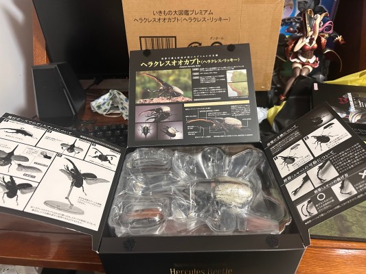 高级生物大图鉴 长戟大兜虫（利奇氏亚种）