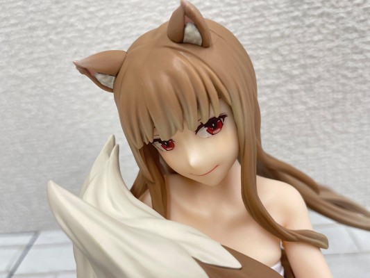 狼与香辛料 merchant meets the wise wolf 温泉乐园（暂译） 赫萝