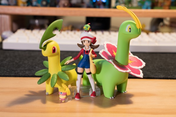 宝可梦比例世界 城都地区 大竺葵