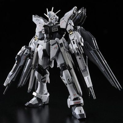 RG  强袭自由高达 装甲未启动样式