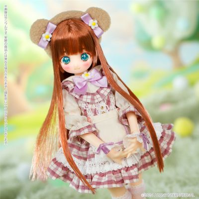 POD057-CTH Colorful Dreamin' /特玛丽～梦幻熊～野草莓版