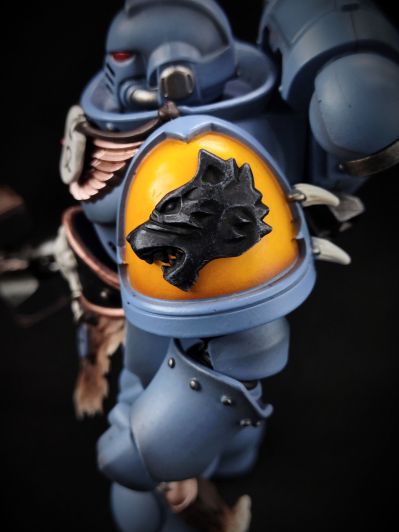 战锤40000 太空野狼 利爪小队 西格瑞石盾