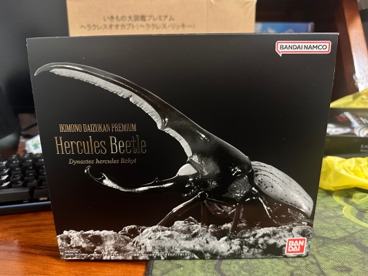 高级生物大图鉴 长戟大兜虫（利奇氏亚种）