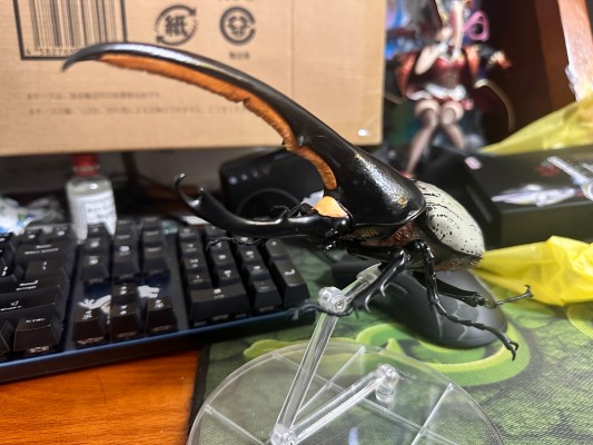 高级生物大图鉴 长戟大兜虫（利奇氏亚种）