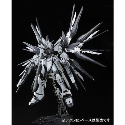 RG  强袭自由高达 装甲未启动样式