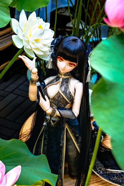 Dollfie Dream DD 白色相簿 森川由绮