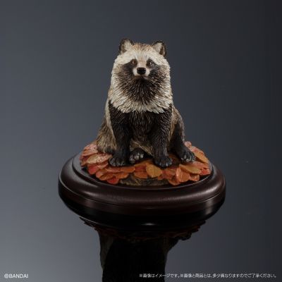 生物大图鉴 陈列模型系列 野生的犬科动物