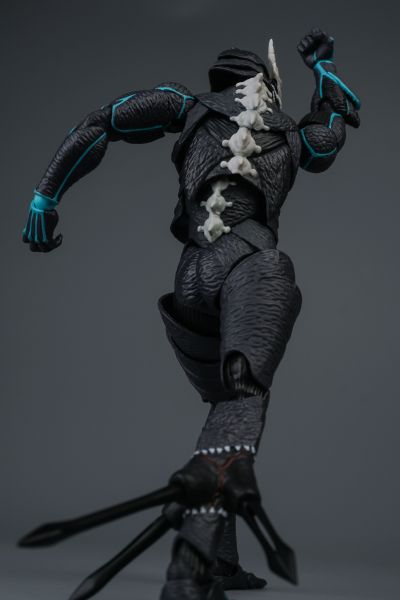 S.H.Figuarts 市川莱诺