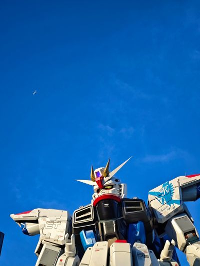 RG 自由高达 Ver.GCP