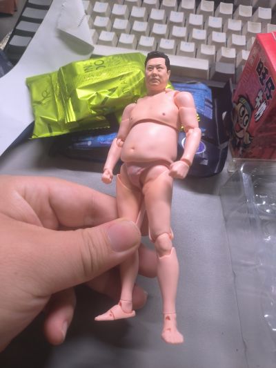 S.H.Figuarts 总而言之很开朗的安村