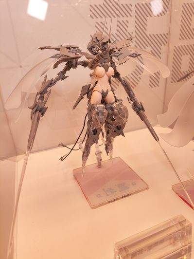 萝莎计划 星花·黑鸢尾