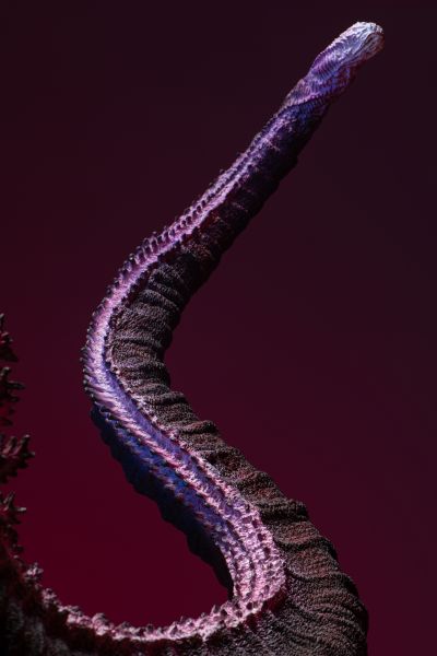 新·哥斯拉 第四形态