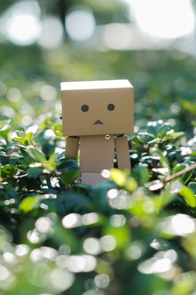 转轮科技 四叶妹妹！ 迷你阿楞