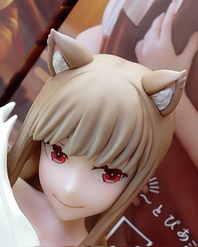 狼与香辛料 merchant meets the wise wolf 温泉乐园（暂译） 赫萝