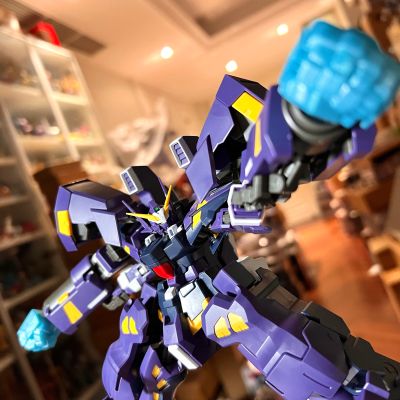 HG 凶鸟搏斗型