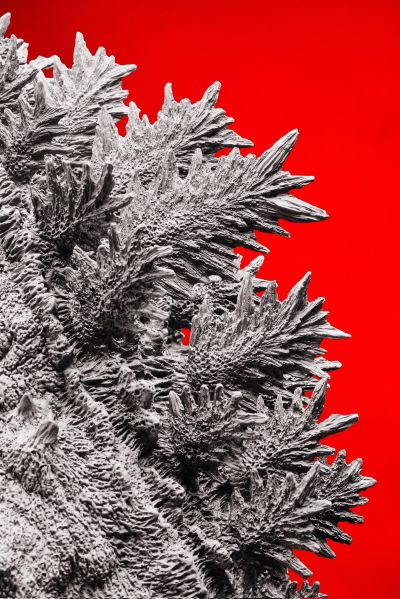 新·哥斯拉 第四形态