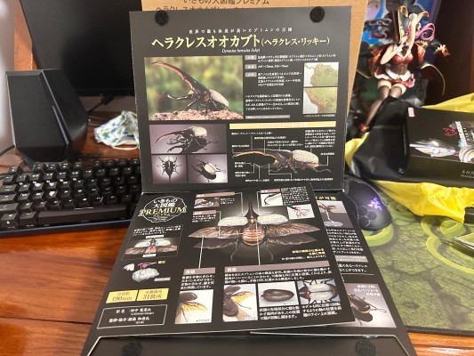 高级生物大图鉴 长戟大兜虫（利奇氏亚种）