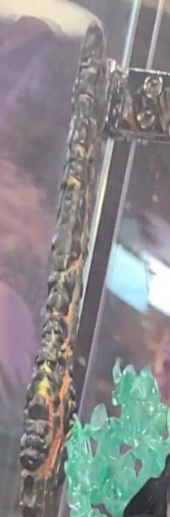 斗破苍穹 萧炎 中州版